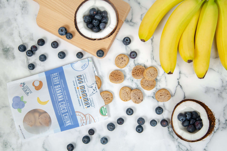 Blueberries bananas coconut dog treats lifestyle