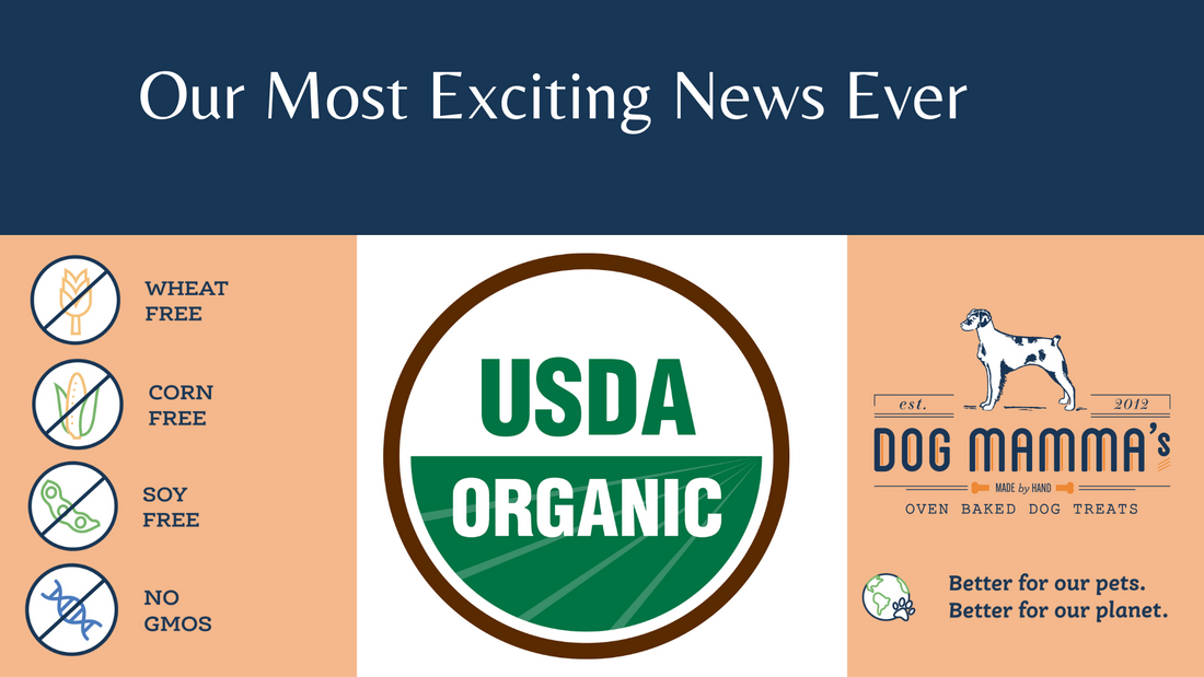 Announcement of Dog Mammas USDA organic certification