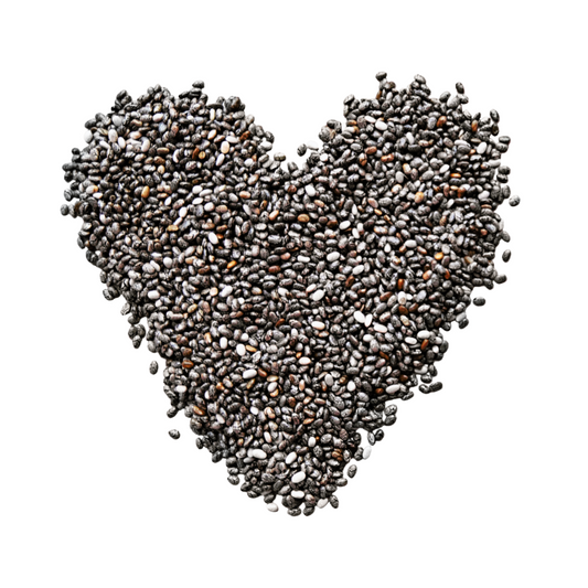 4 Reasons to Feed Your Dog Chia Seeds