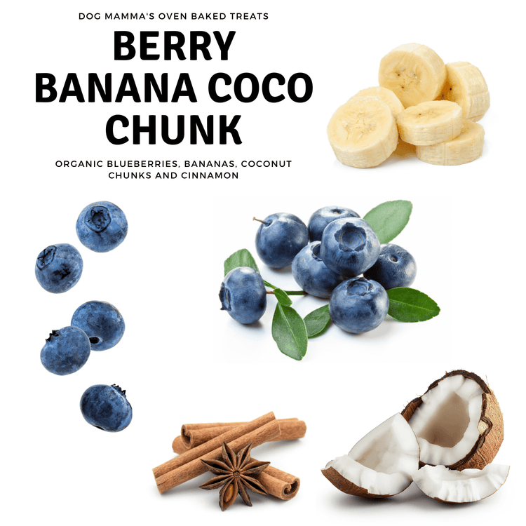 Dog Mammas ingredients blueberries bananas coconut cinnamon real fruits